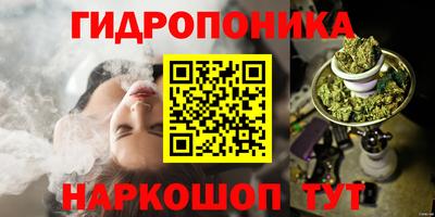 spice Краснознаменск