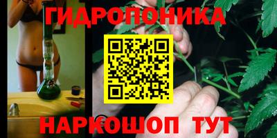 spice Краснознаменск