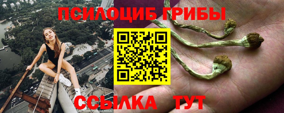 Галлюциногенные грибы ЛСД Комсомольск-на-Амуре